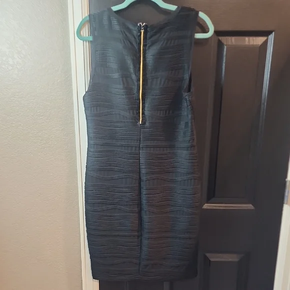 Elegant Black Sleeveless Dress - Picture 3 of 3